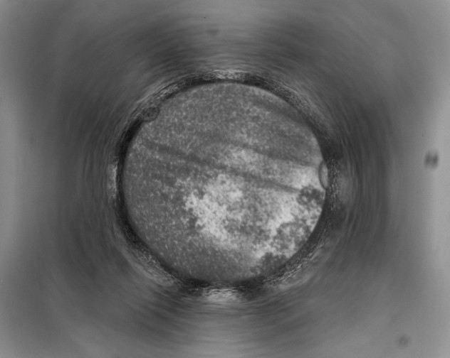 X0000098070262200805021004