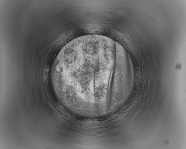 X0000098070263200805021005