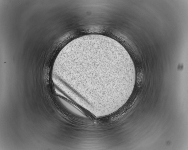 X0000098070264200805021005