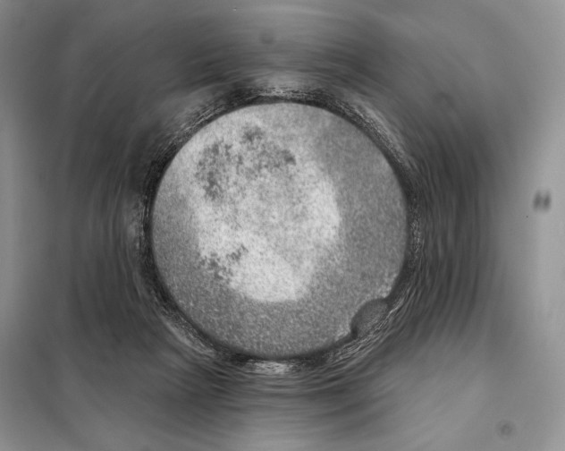 X0000098070265200805021005