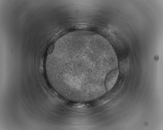 X0000098070267200805021005