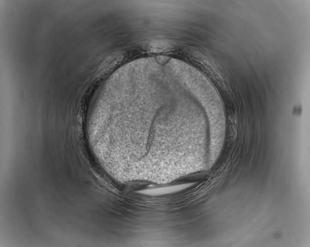 X0000098070269200805021005