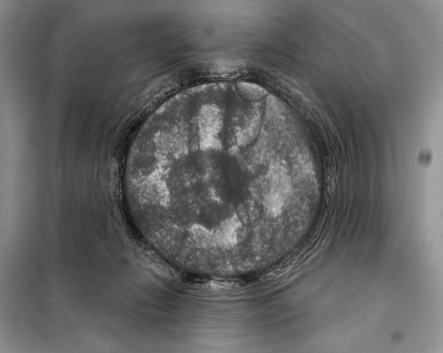 X0000098070270200805021005