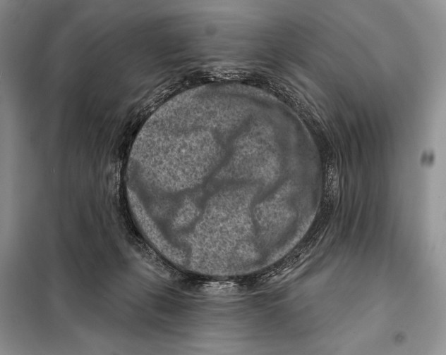 X0000098070271200805021005