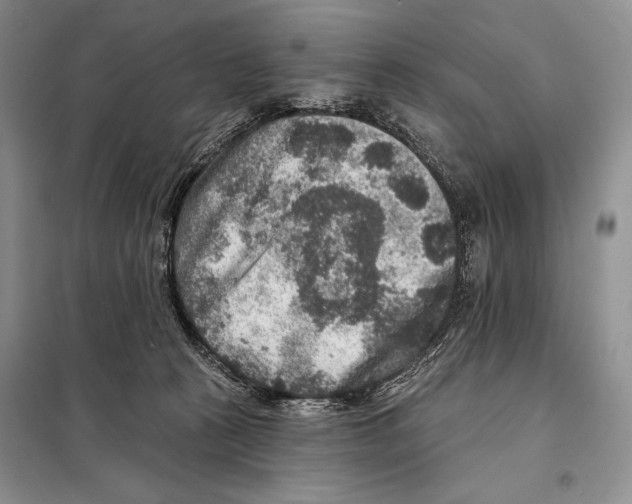 X0000098070273200805021005