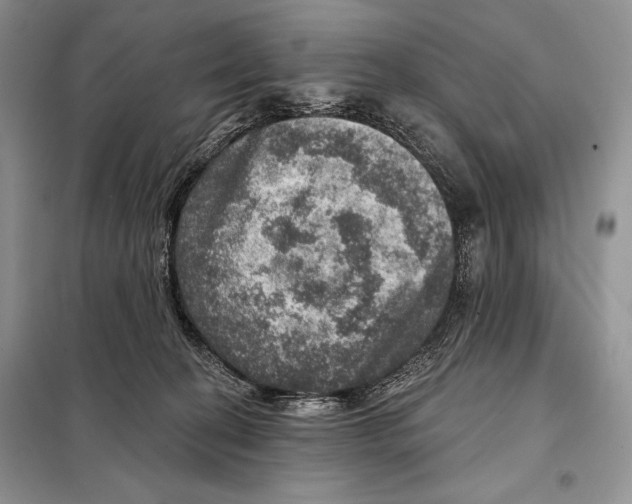 X0000098070274200805021005