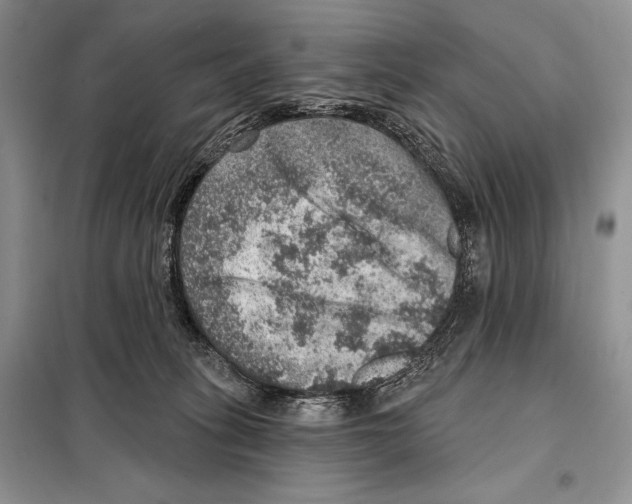 X0000098070275200805021005