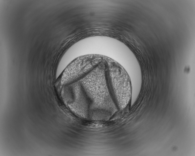 X0000098070276200805021005