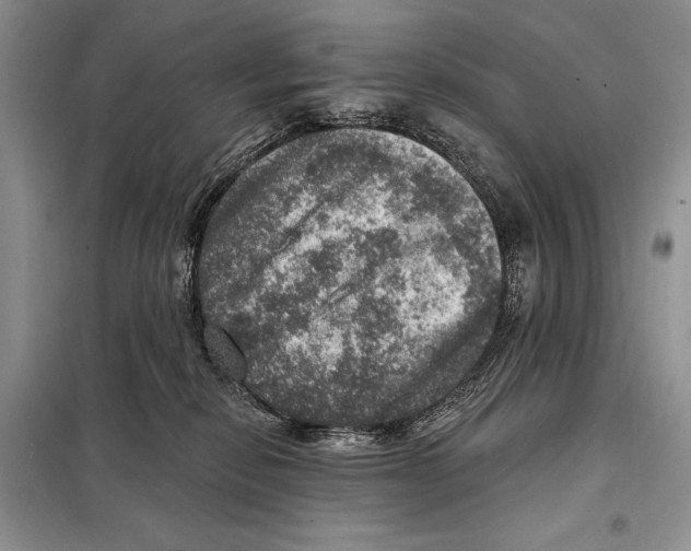 X0000098070278200805021005