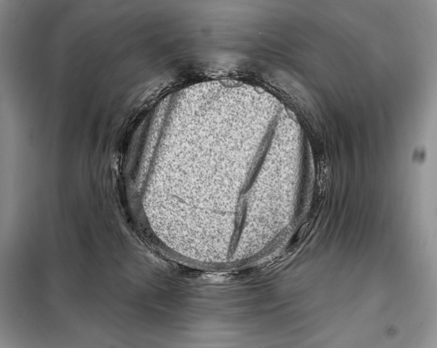 X0000098070280200805021005