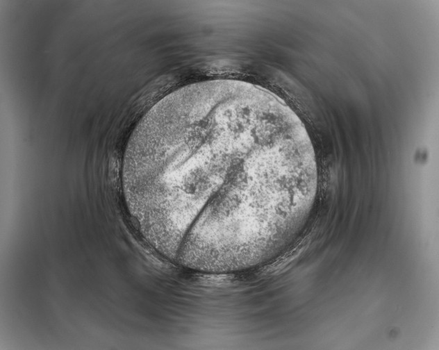 X0000098070281200805021005