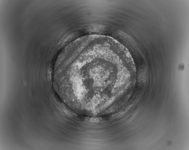 X0000098070282200805021005