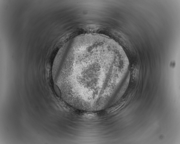 X0000098070283200805021005