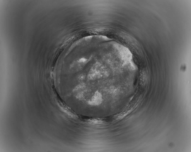 X0000098070284200805021005