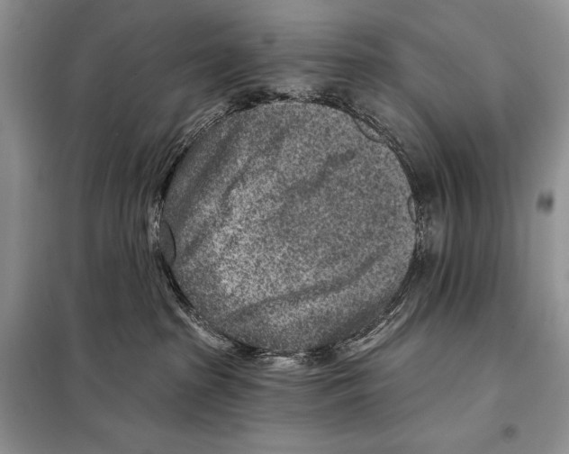 X0000098070285200805021005