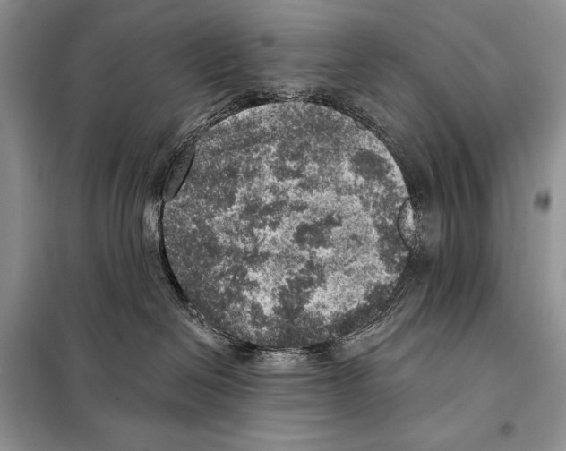 X0000098070286200805021005