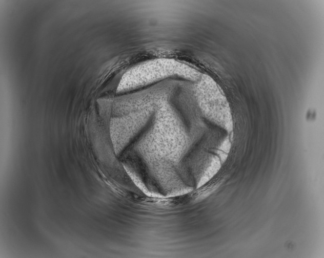 X0000098070288200805021005