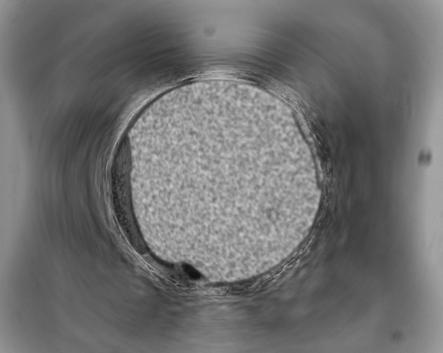 X0000098070289200805021004