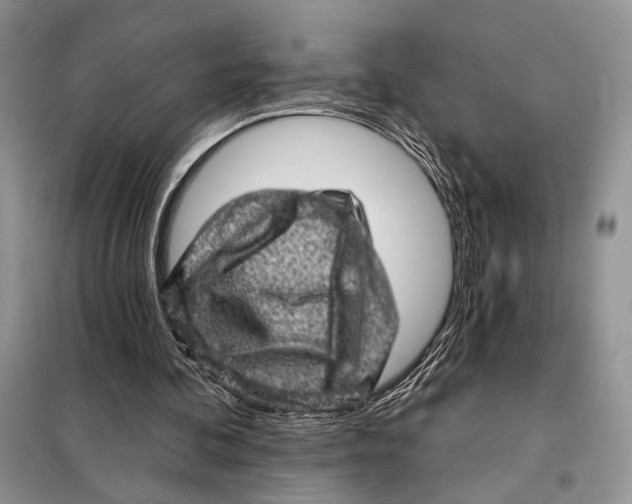 X0000098070292200805021004