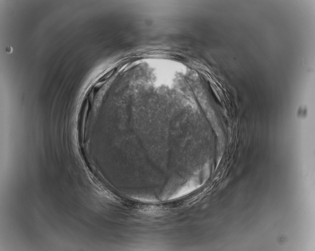 X0000098070293200805021004