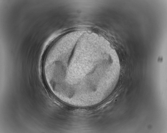 X0000098070294200805021004