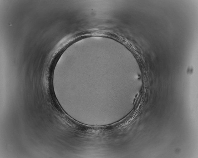 X0000098070295200805021004