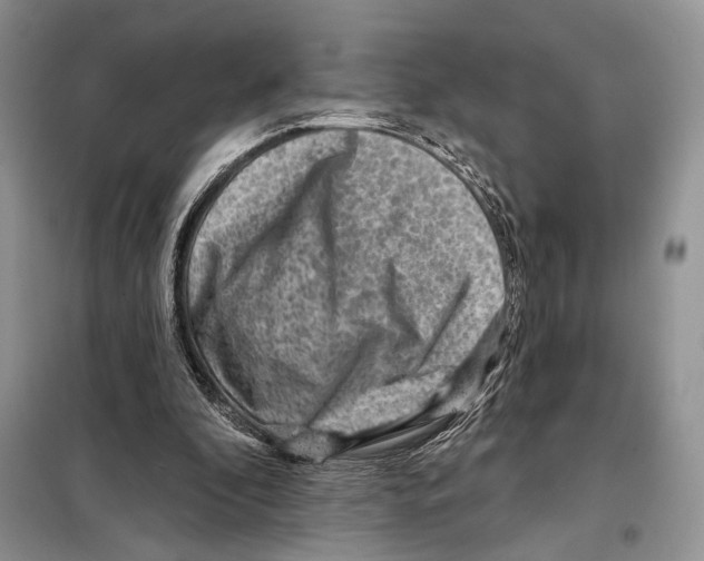 X0000098070296200805021004