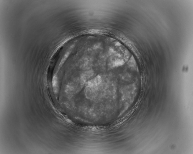 X0000098070297200805021004