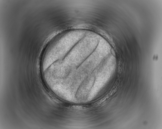 X0000098070298200805021004