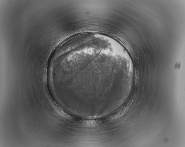 X0000098070301200805021004