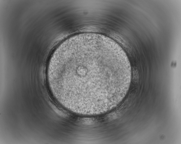 X0000098070302200805021004