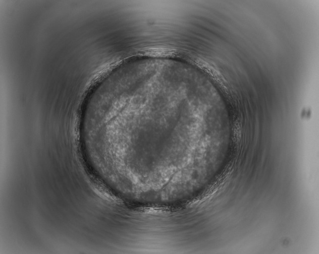 X0000098070303200805021004