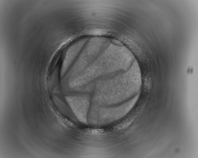 X0000098070304200805021004