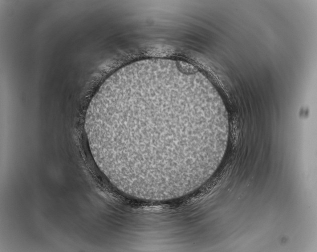 X0000098070307200805021004