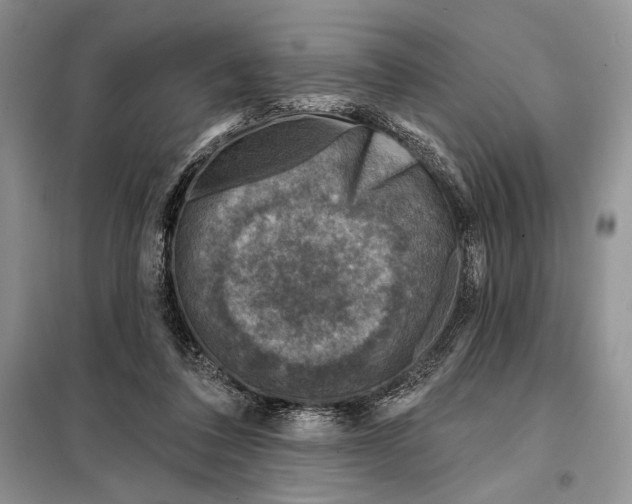 X0000098070308200805021004