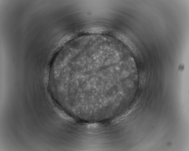 X0000098070309200805021004