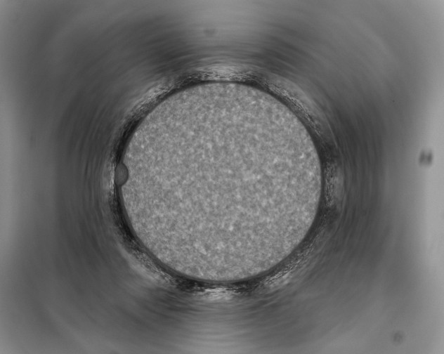 X0000098070310200805021004