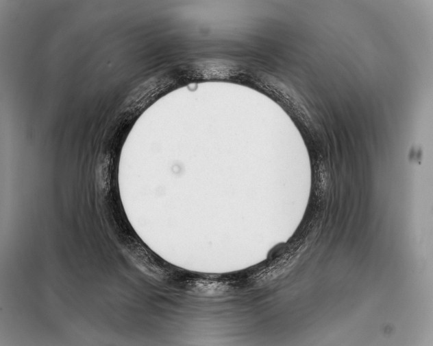 X0000098070311200805021004