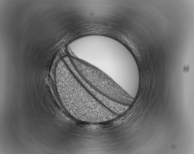 X0000098070313200805021004