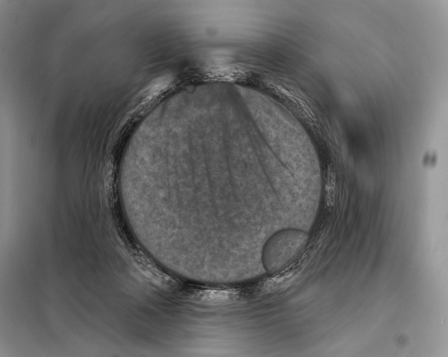 X0000098070314200805021004