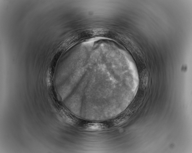 X0000098070316200805021004