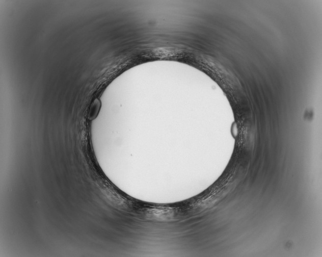 X0000098070317200805021004