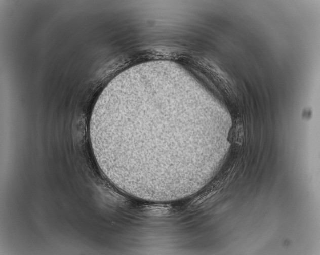 X0000098070318200805021004