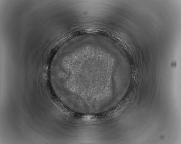 X0000098070319200805021004