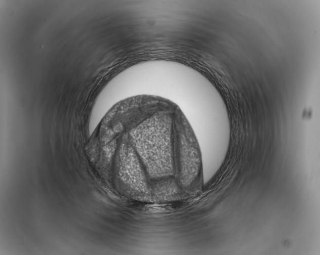 X0000098070320200805021004