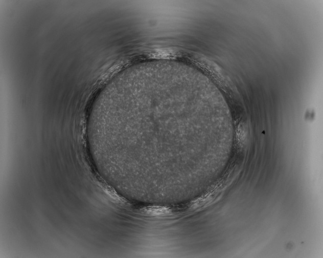 X0000098070322200805021004