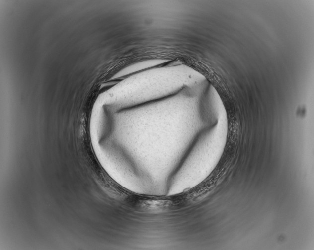 X0000098070323200805021004