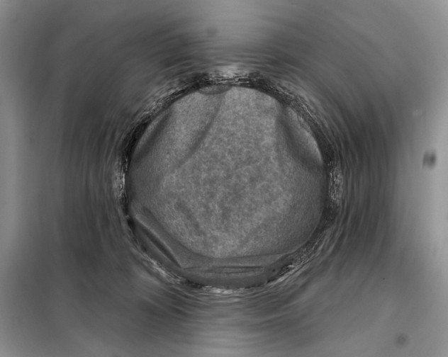 X0000098070324200805021004