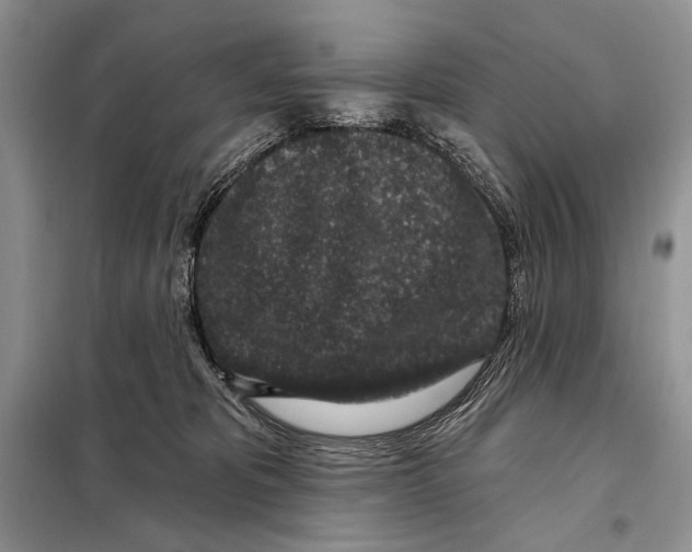 X0000098070325200805021004