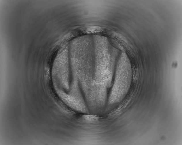 X0000098070327200805021004